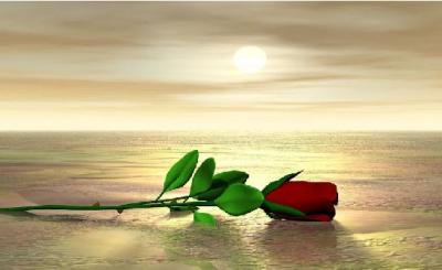 ANIMOS DE AMOR